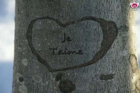 pour toi 